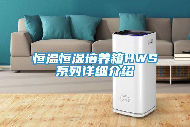 恒温恒湿培养箱HWS系列详细介绍