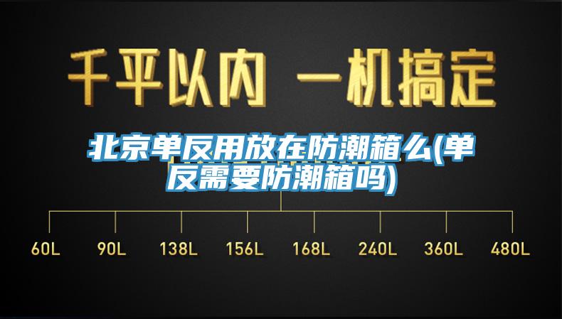 北京单反用放在防潮箱么(单反需要防潮箱吗)