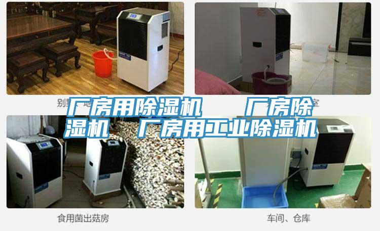 厂房用除湿机   厂房除湿机  厂房用工业除湿机