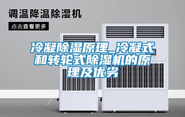 冷凝除湿原理_冷凝式和转轮式除湿机的原理及优劣