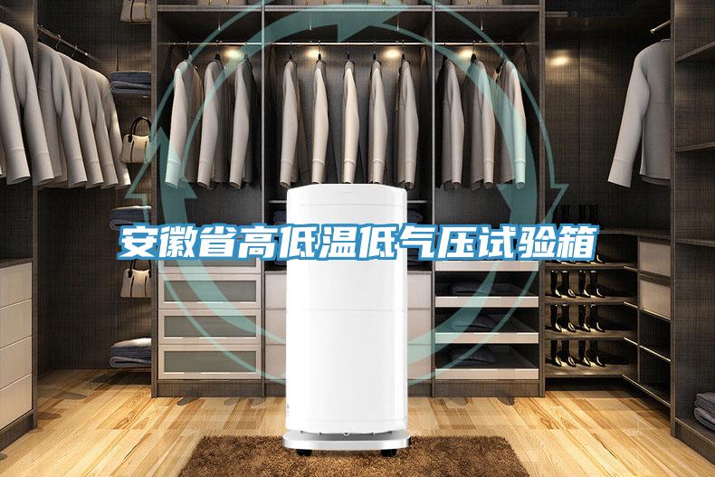 安徽省高低温低气压试验箱