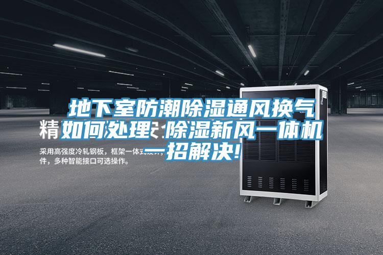 地下室防潮除湿通风换气如何处理 除湿新风一体机一招解决!