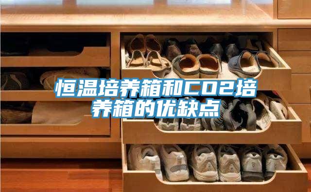 恒温培养箱和CO2培养箱的优缺点