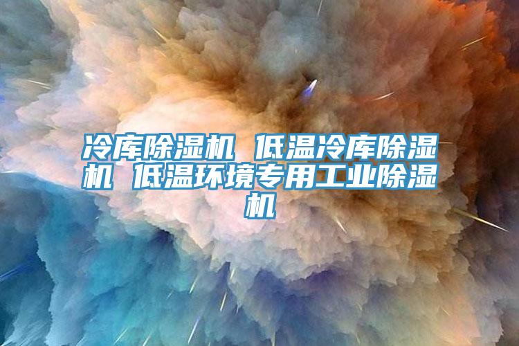 冷库除湿机 低温冷库除湿机 低温环境专用工业除湿机