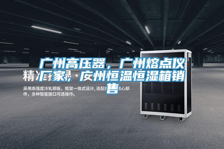 广州高压器，广州熔点仪厂家，广州恒温恒湿箱销售