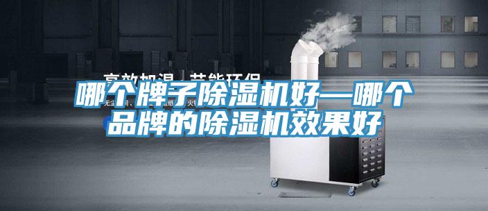 哪个牌子除湿机好—哪个品牌的除湿机效果好