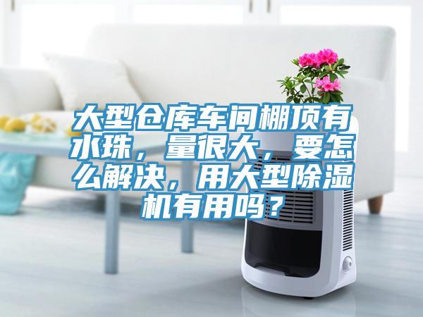 大型仓库车间棚顶有水珠，量很大，要怎么解决，用大型除湿机有用吗？