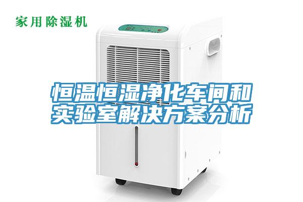 恒温恒湿净化车间和实验室解决方案分析
