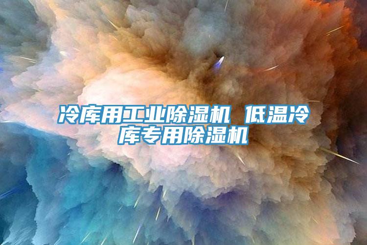 冷库用工业除湿机 低温冷库专用除湿机
