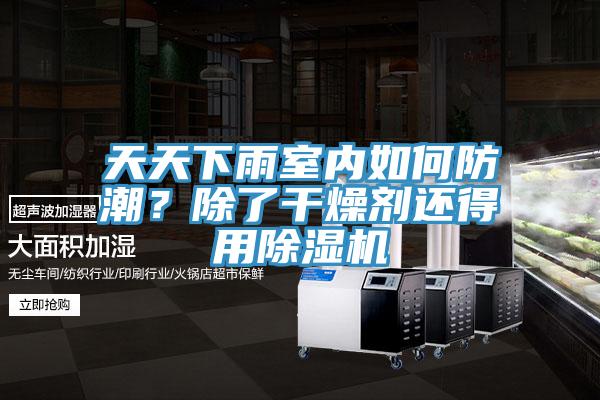 天天下雨室内如何防潮？除了干燥剂还得用除湿机