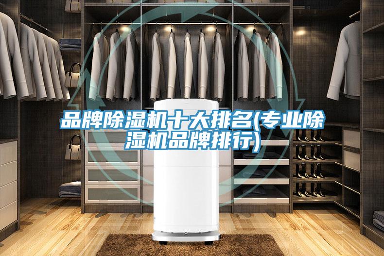 品牌除湿机十大排名(专业除湿机品牌排行)