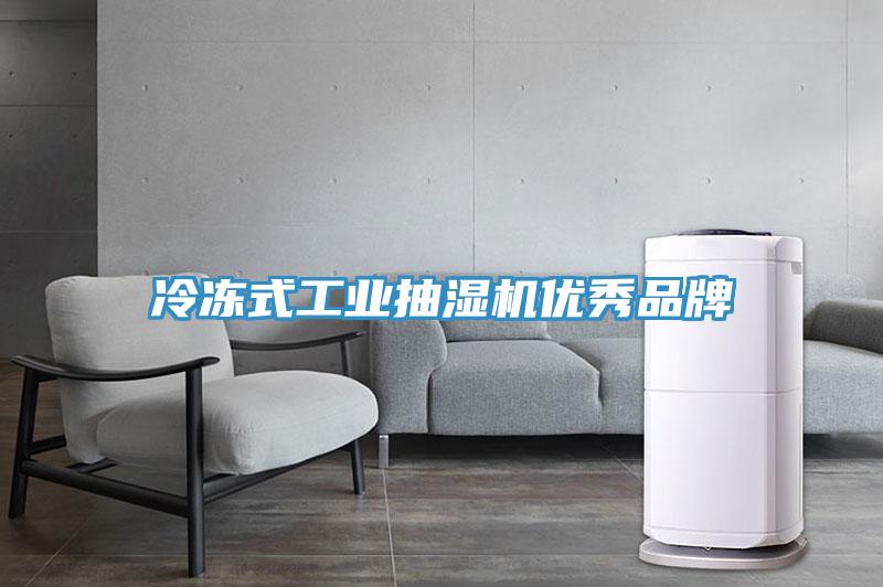 冷冻式工业抽湿机优秀品牌