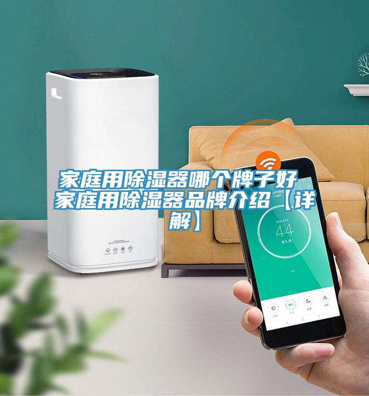 家庭用除湿器哪个牌子好 家庭用除湿器品牌介绍【详解】
