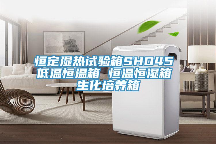 恒定湿热试验箱SHO45 低温恒温箱 恒温恒湿箱 生化培养箱
