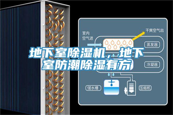 地下室除湿机，地下室防潮除湿有方