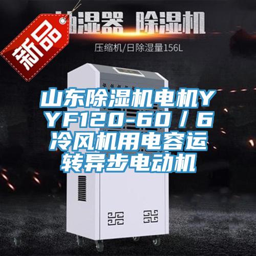 山东除湿机电机YYF120-60／6冷风机用电容运转异步电动机