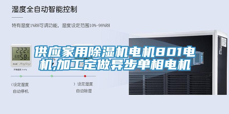 供应家用除湿机电机801电机,加工定做异步单相电机