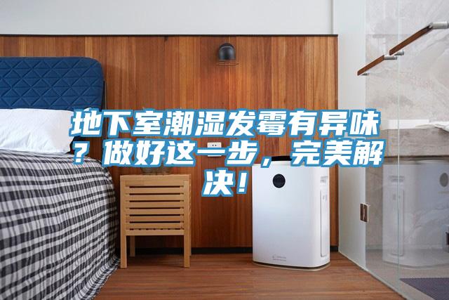 地下室潮湿发霉有异味？做好这一步，完美解决！