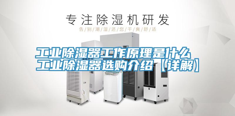 工业除湿器工作原理是什么 工业除湿器选购介绍【详解】