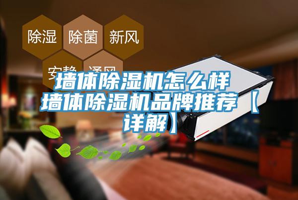 墙体除湿机怎么样 墙体除湿机品牌推荐【详解】