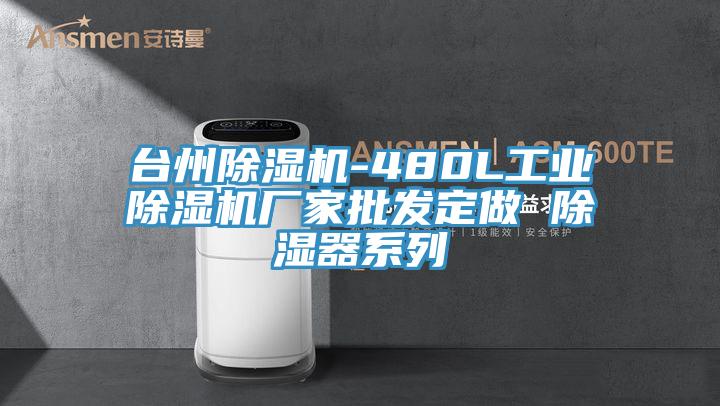 台州除湿机-480L工业除湿机厂家批发定做 除湿器系列