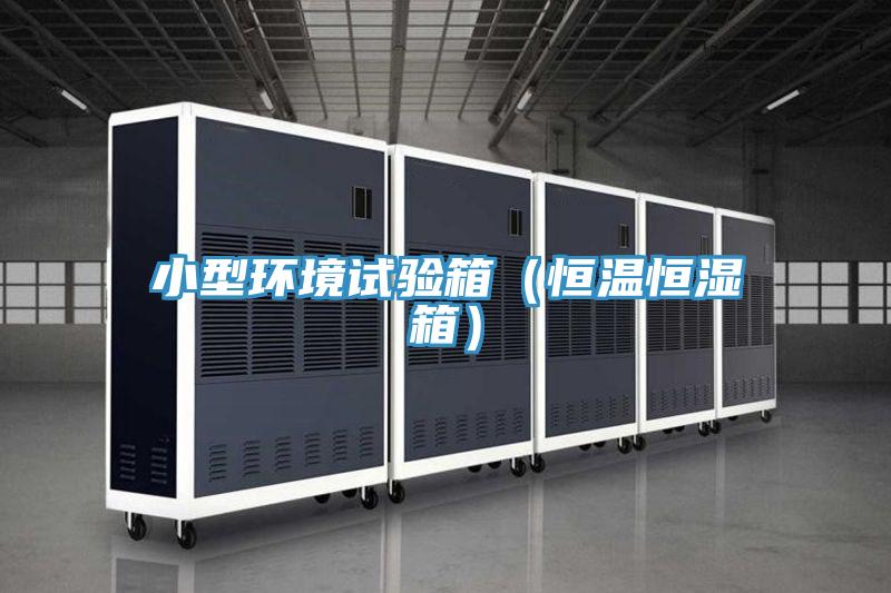 小型环境试验箱（恒温恒湿箱）