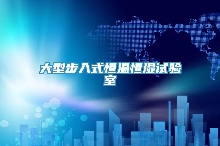 大型步入式恒温恒湿试验室