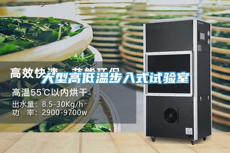 大型高低温步入式试验室