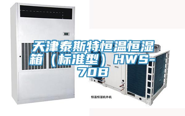 天津泰斯特恒温恒湿箱（标准型）HWS-70B