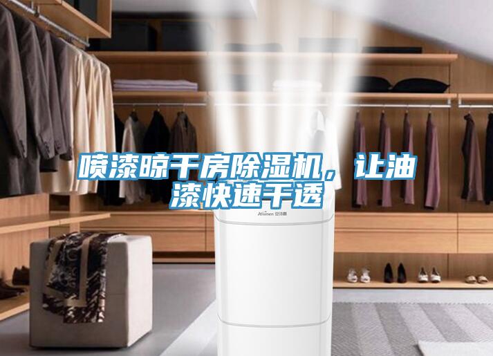 喷漆晾干房除湿机，让油漆快速干透