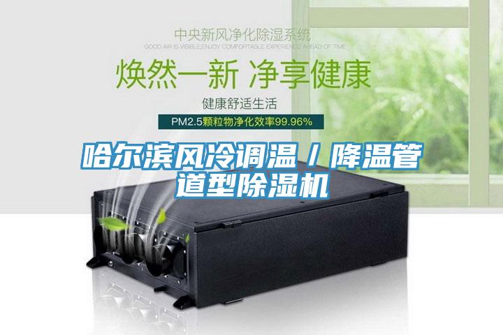 哈尔滨风冷调温／降温管道型除湿机