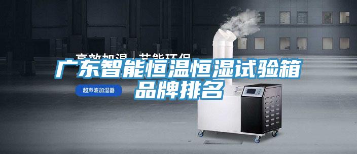 广东智能恒温恒湿试验箱品牌排名