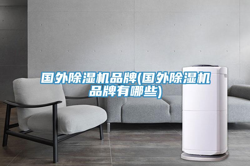 国外除湿机品牌(国外除湿机品牌有哪些)