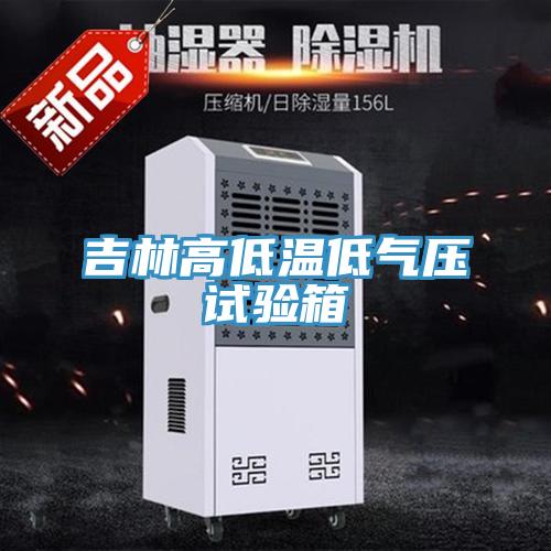 吉林高低温低气压试验箱