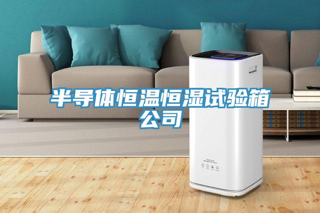 半导体恒温恒湿试验箱公司