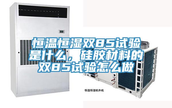 恒温恒湿双85试验是什么，硅胶材料的双85试验怎么做
