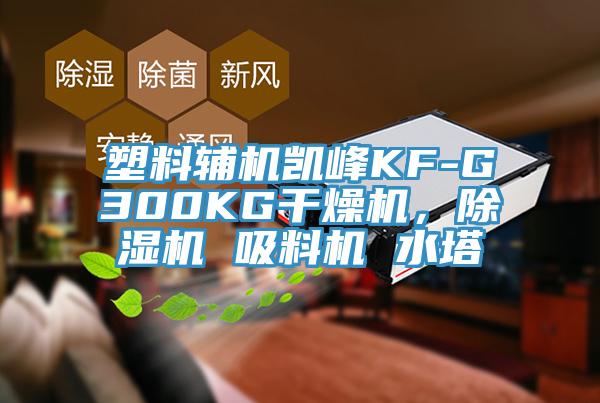 塑料辅机凯峰KF-G300KG干燥机，除湿机 吸料机 水塔