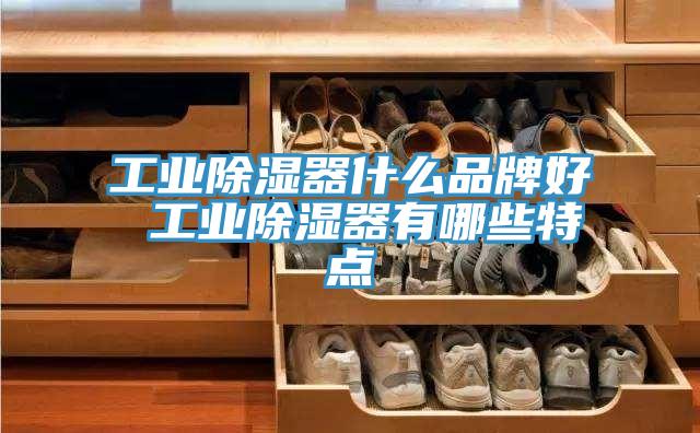 工业除湿器什么品牌好 工业除湿器有哪些特点