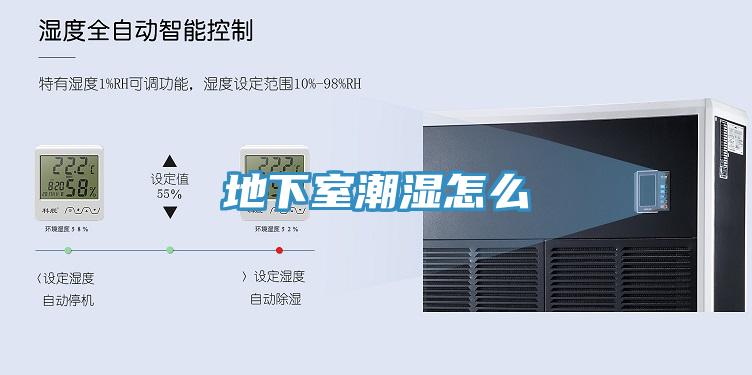 地下室潮湿怎么