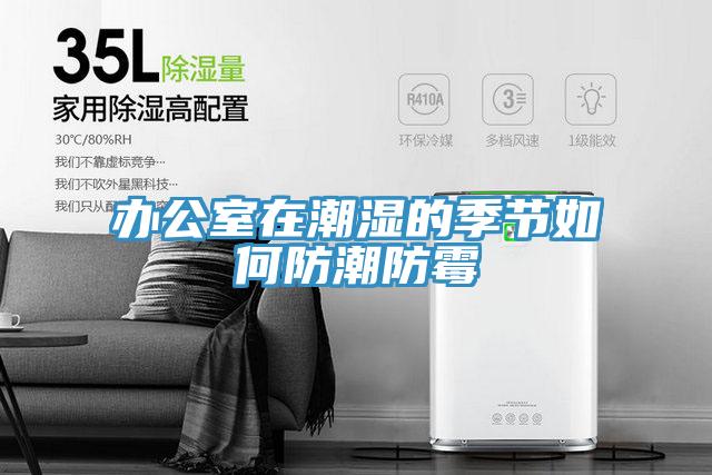 办公室在潮湿的季节如何防潮防霉
