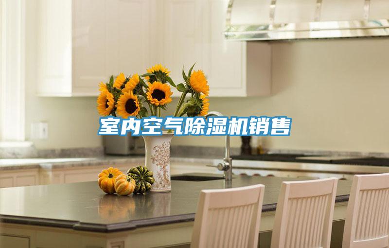 室内空气除湿机销售