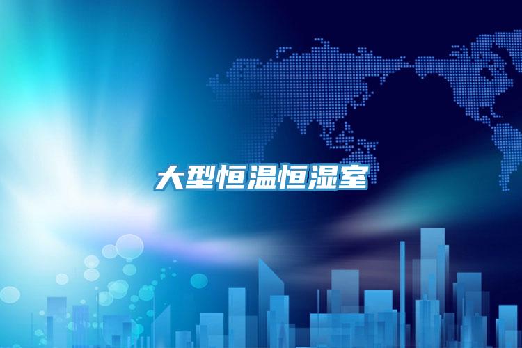 大型恒温恒湿室