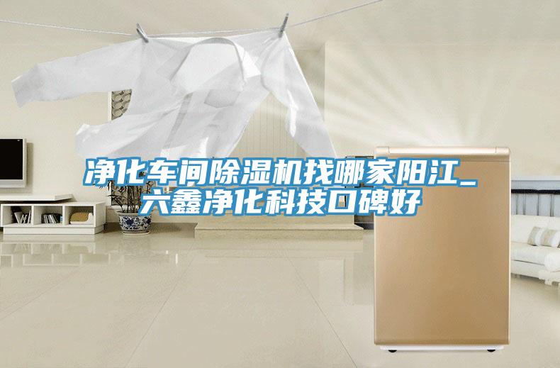 净化车间除湿机找哪家阳江_六鑫净化科技口碑好