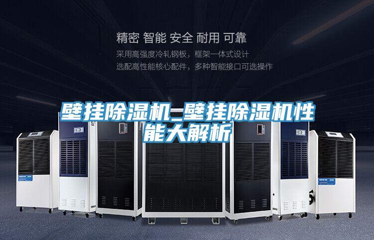 壁挂除湿机_壁挂除湿机性能大解析