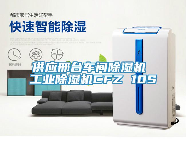 供应邢台车间除湿机 工业除湿机CFZ 10S