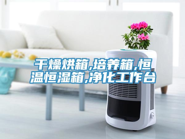 干燥烘箱,培养箱,恒温恒湿箱,净化工作台