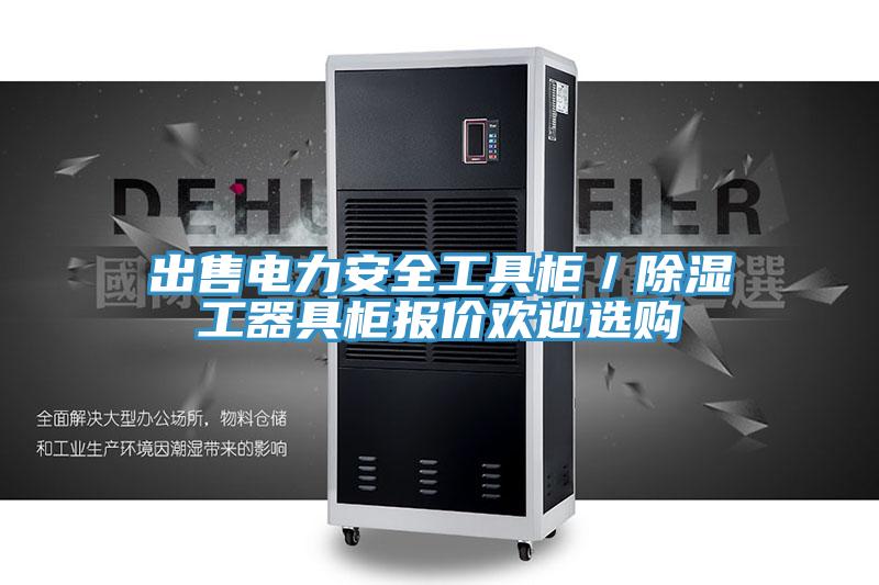 出售电力安全工具柜／除湿工器具柜报价欢迎选购