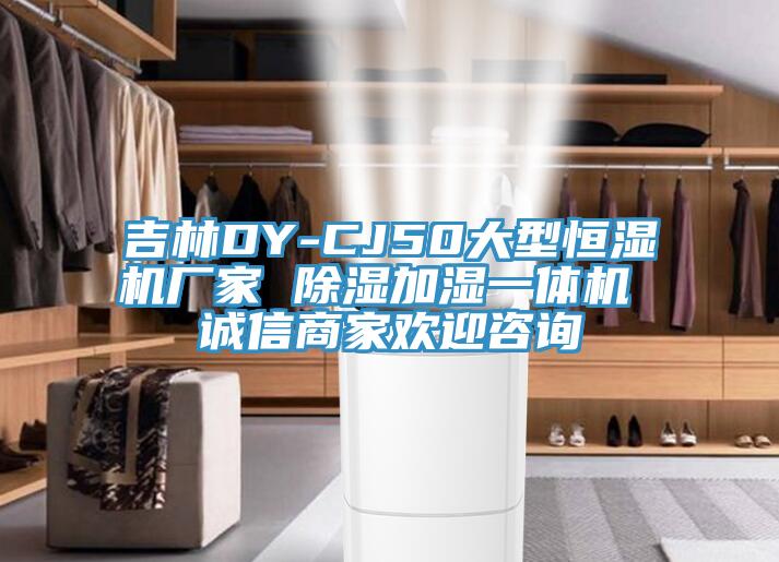 吉林DY-CJ50大型恒湿机厂家 除湿加湿一体机 诚信商家欢迎咨询