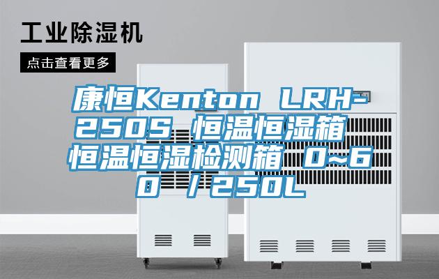 康恒Kenton LRH-250S 恒温恒湿箱 恒温恒湿检测箱 0~60℃／250L