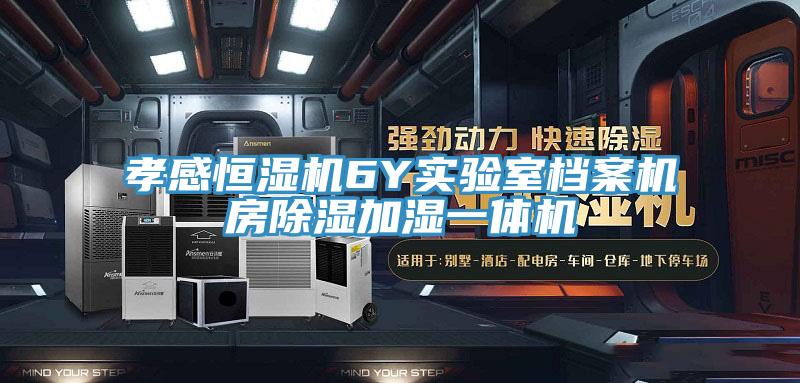 孝感恒湿机6Y实验室档案机房除湿加湿一体机